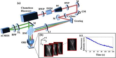 Photobleaching Imprinting Enhanced Background Rejection in Line-Scanning Temporal Focusing Microscopy